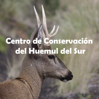 Centro de Conservación del Huemul del Sur