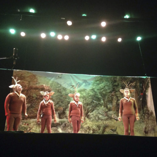 Comunicado Exitoso estreno en Valdivia del musical “Siguiendo la huella del huemul” (3)