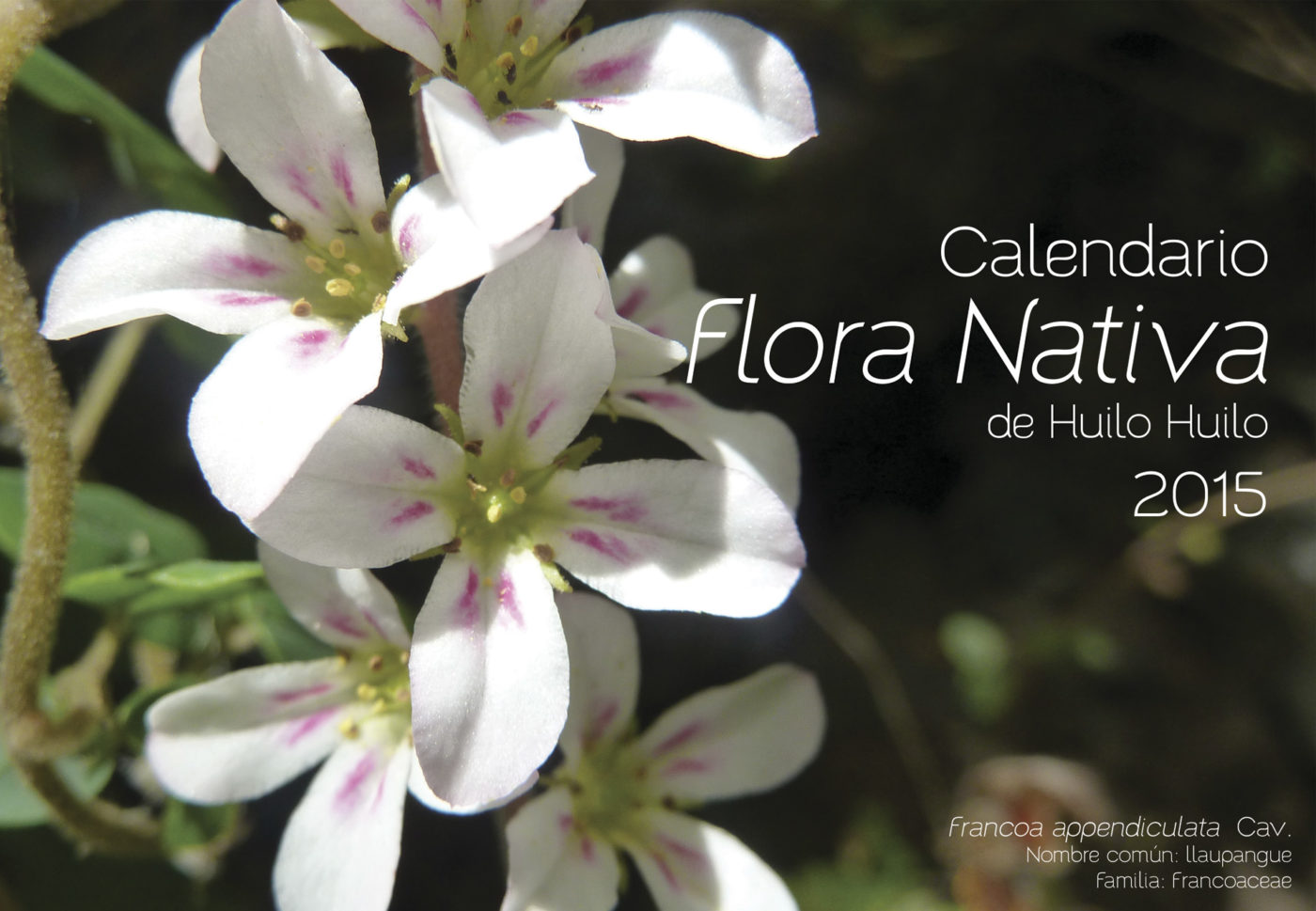 Calendario flora nativa de Huilo Huilo 2015