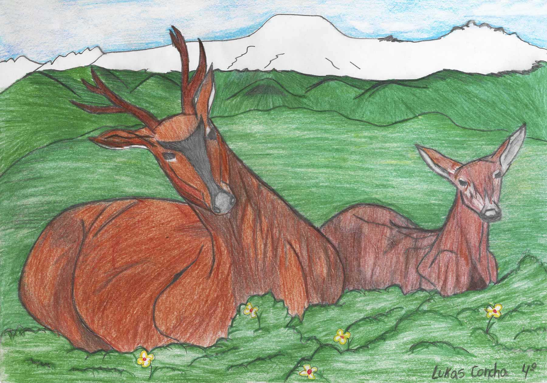 huemul concurso 3 Fundación Huilo Huilo